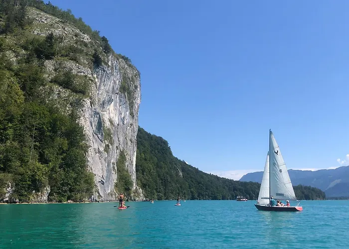 Seestern Strobl