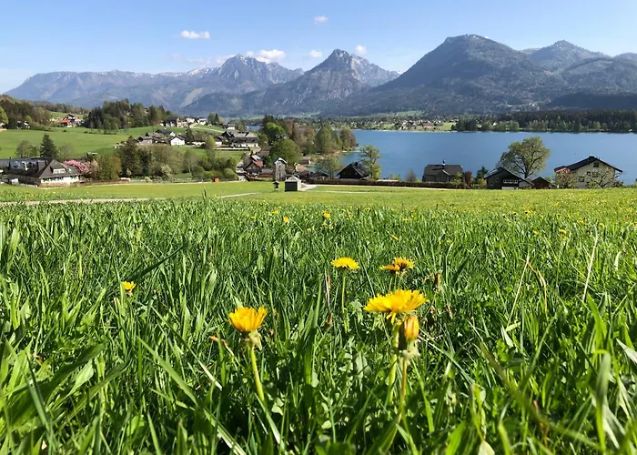 Seestern Strobl