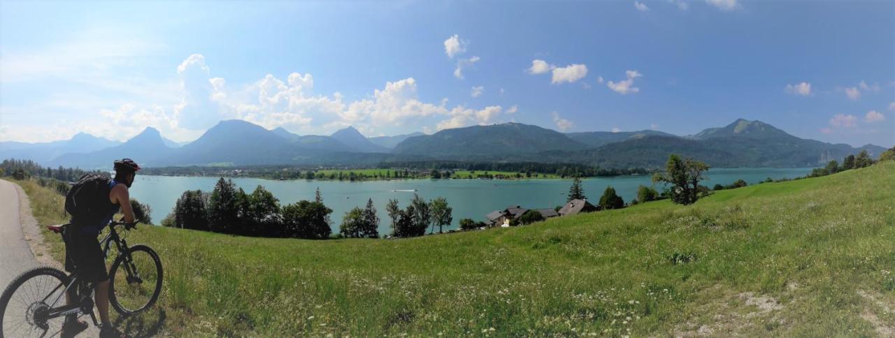 Seestern Apartment Strobl