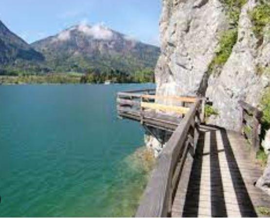 Seestern Strobl