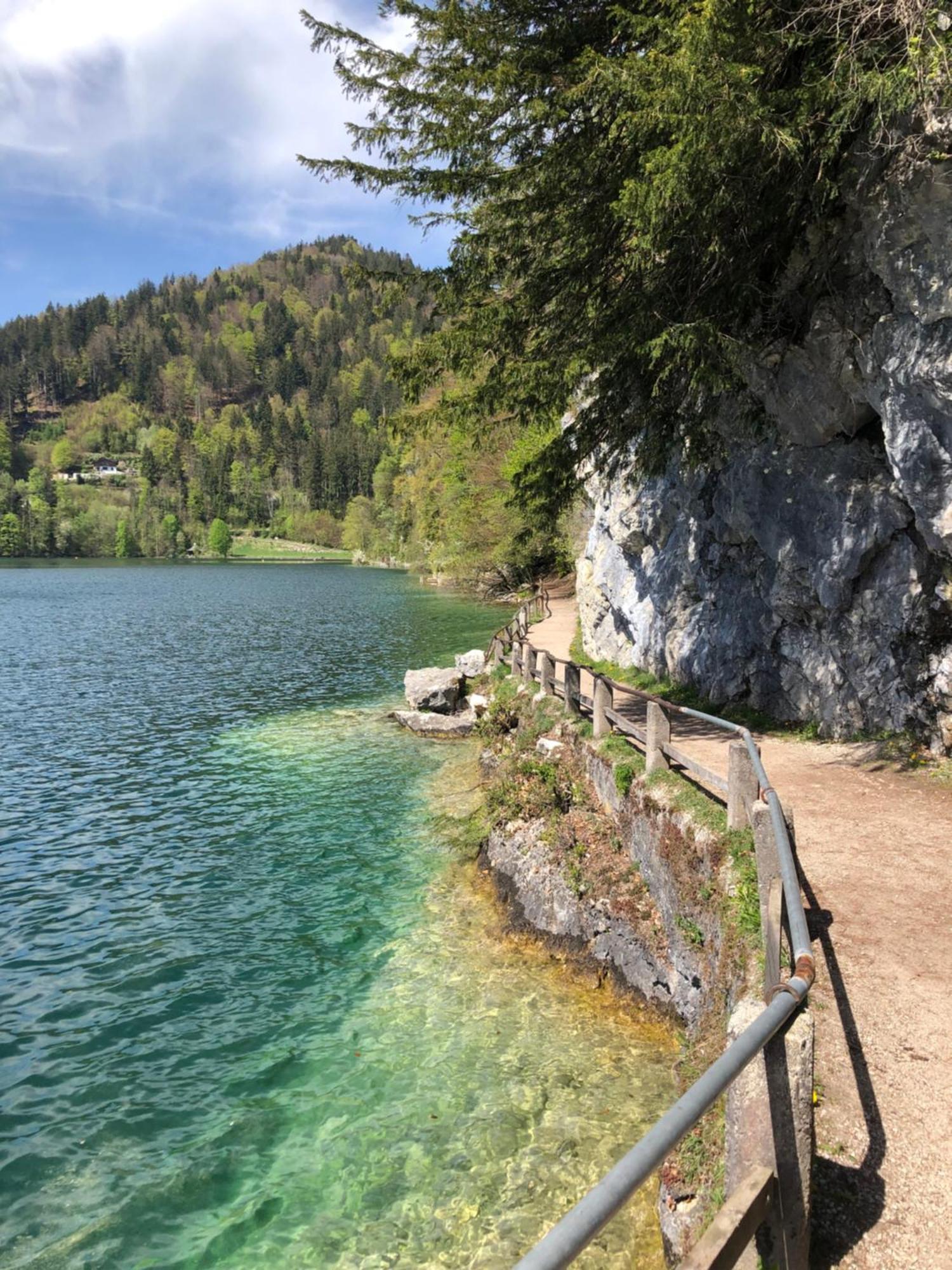 Seestern Apartment Strobl